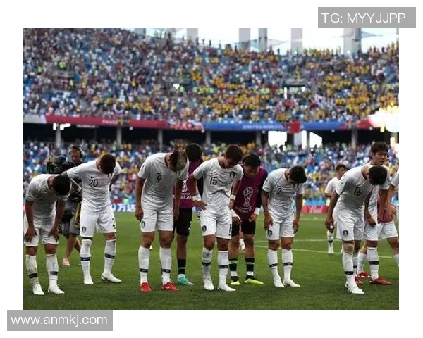 瑞典与韩国比赛中角球数量对比分析及其影响因素探讨