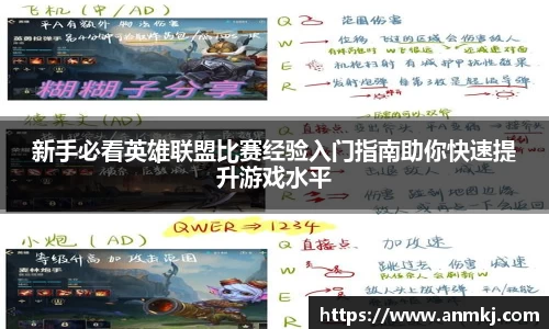 333体育官网